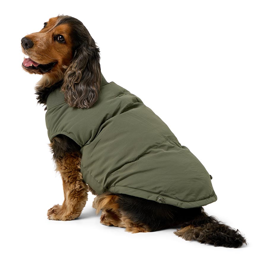 Pets at Home Quilted Padded Dog Gilet Khaki
