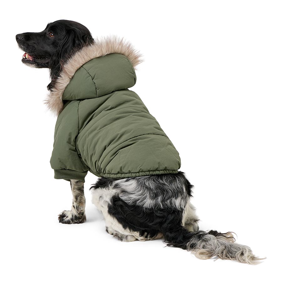 Pets at Home Hooded Parka Dog Jacket Khaki