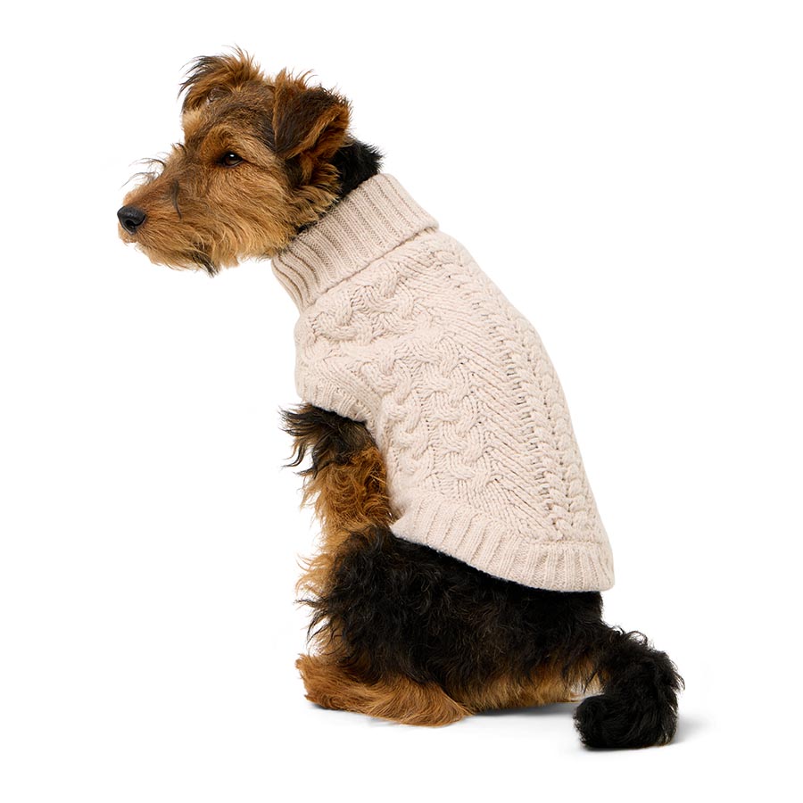 Pets at Home Cable Knit Dog Sweater Cream