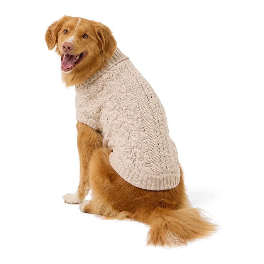 Pets At Home Cable Knit Dog Sweater Cream Large