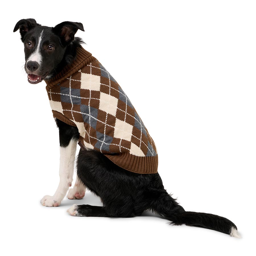 Wainwright's Argyle Knitted Dog Sweater Brown