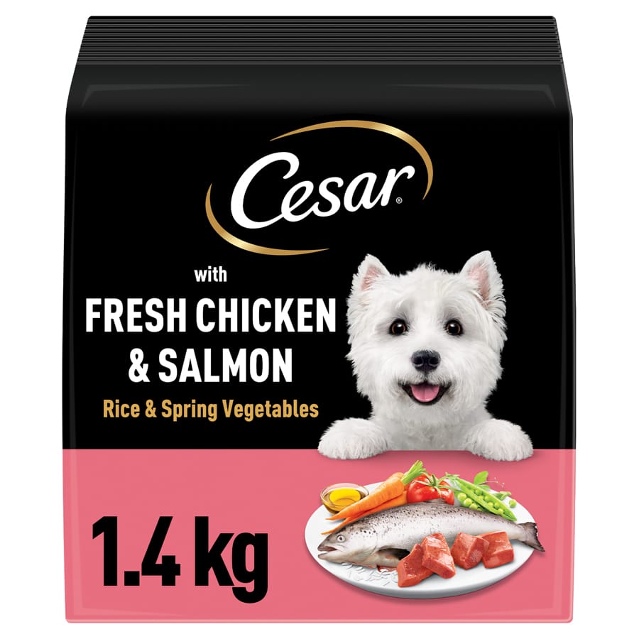 Cesar Adult Dry Dog Food with Fresh Chicken, Salmon & Veg