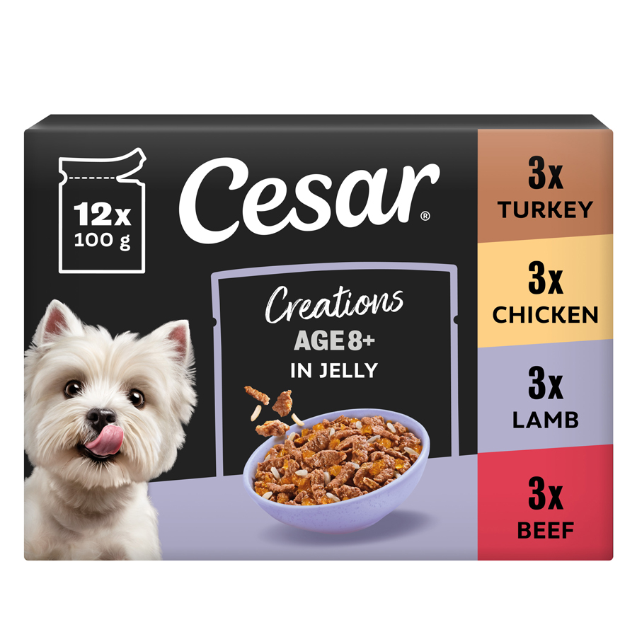 Cesar Senior Wet Dog Food Pouches Deliciously Fresh Favourites in Jelly