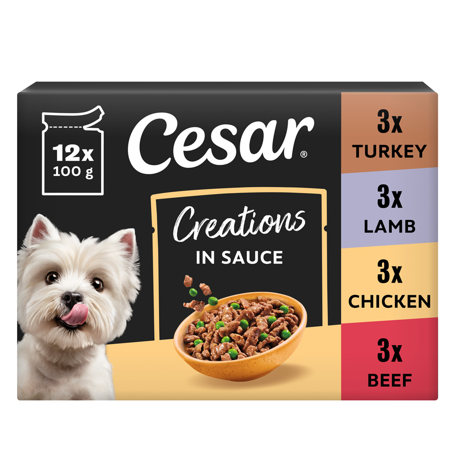 Cesar Adult Wet Dog Food Pouches Deliciously Fresh Favourites In Gravy