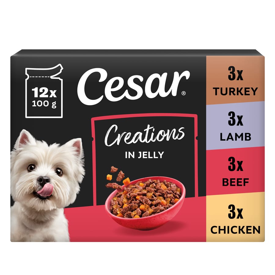 Cesar Creations Wet Dog Food Pouch Poultry, Beef, Lamb in Jelly