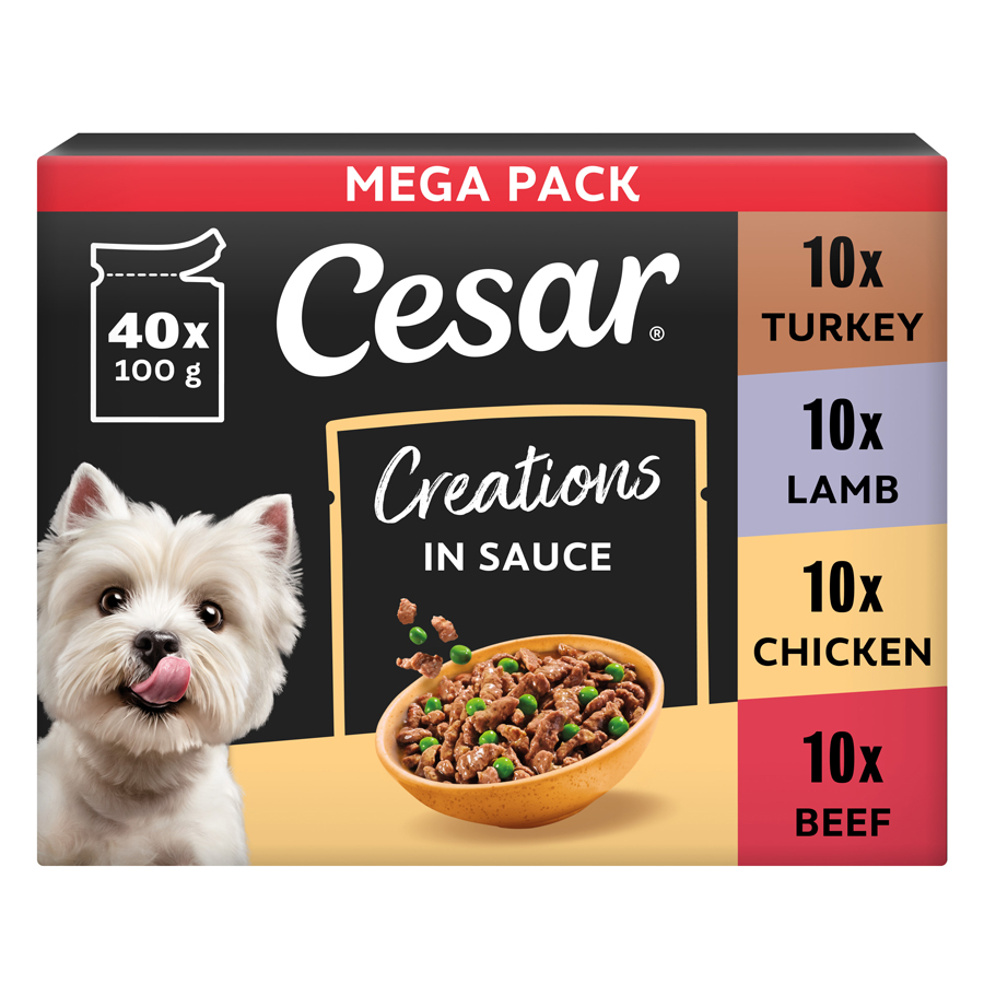 Cesar Adult Wet Dog Food Pouches Deliciously Fresh Favourites in Gravy