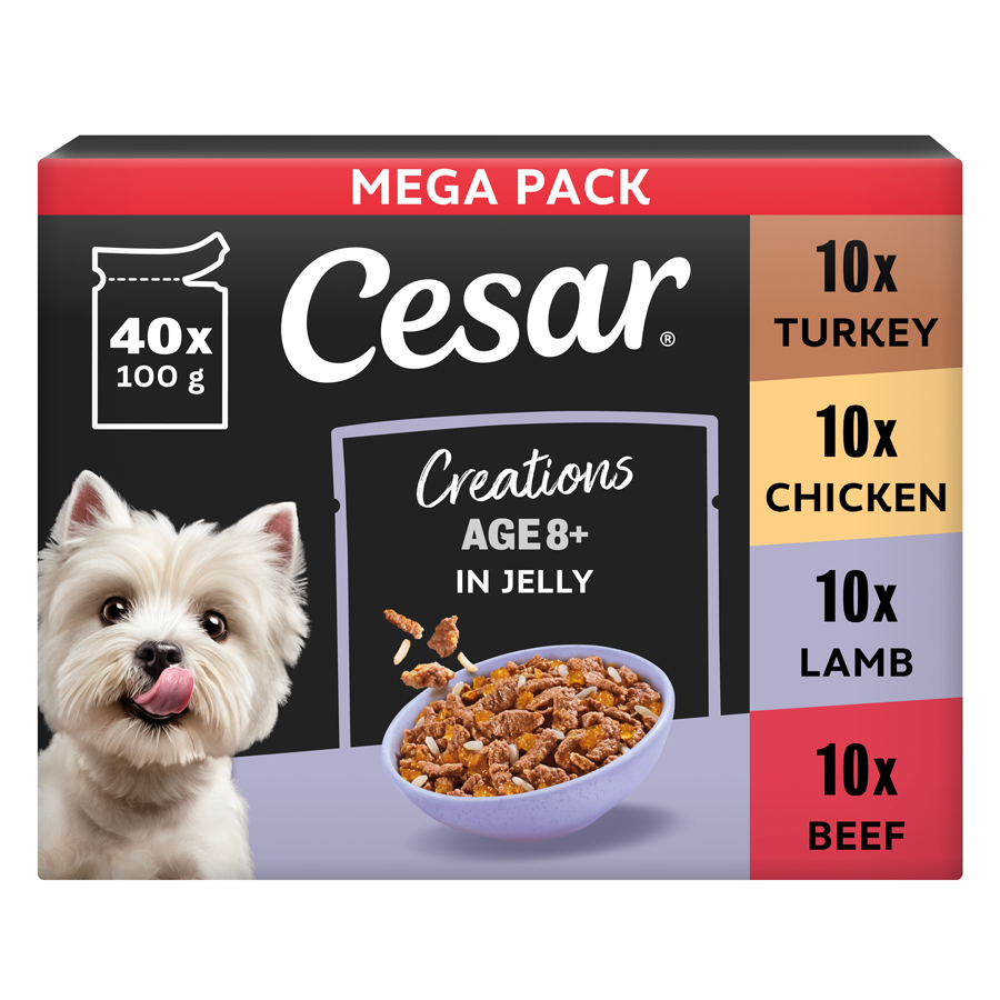 Cesar Senior Wet Dog Food Pouches Deliciously Fresh Favourites in Jelly