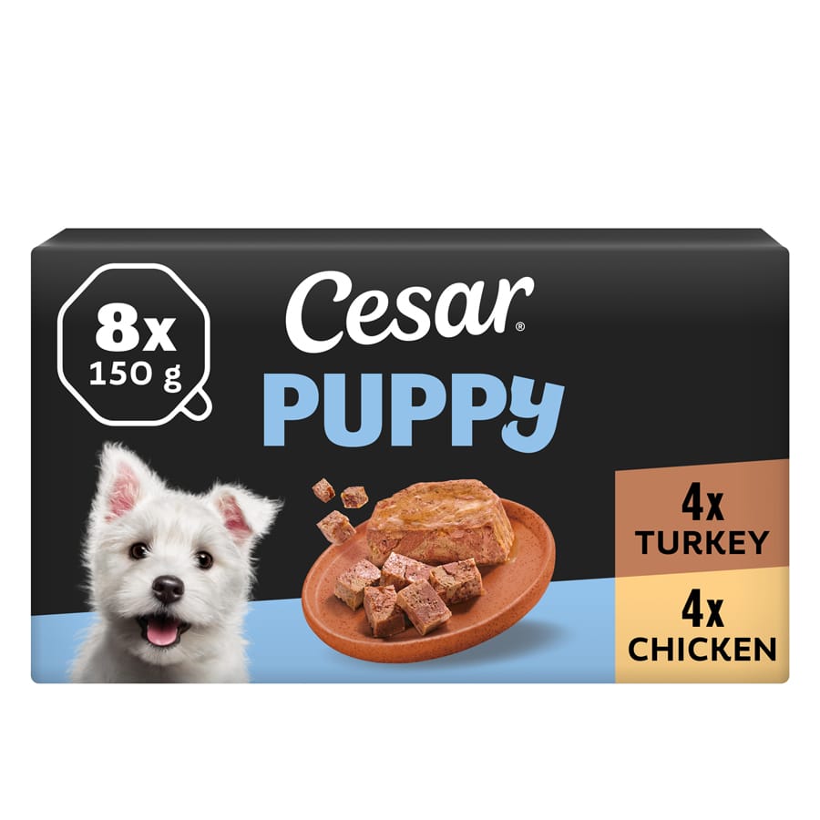 Cesar Classic Terrine Puppy Wet Dog Food tray Poultry in Loaf