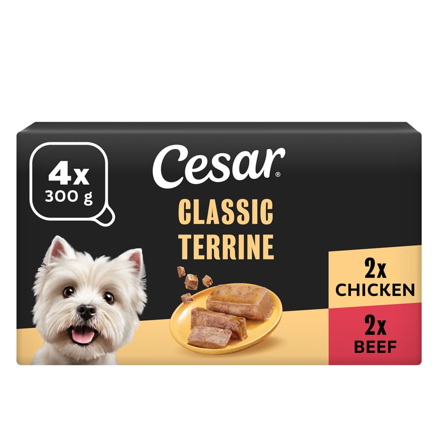 Cesar Classic Terrine Wet Dog Food tray Beef & Chicken in Loaf