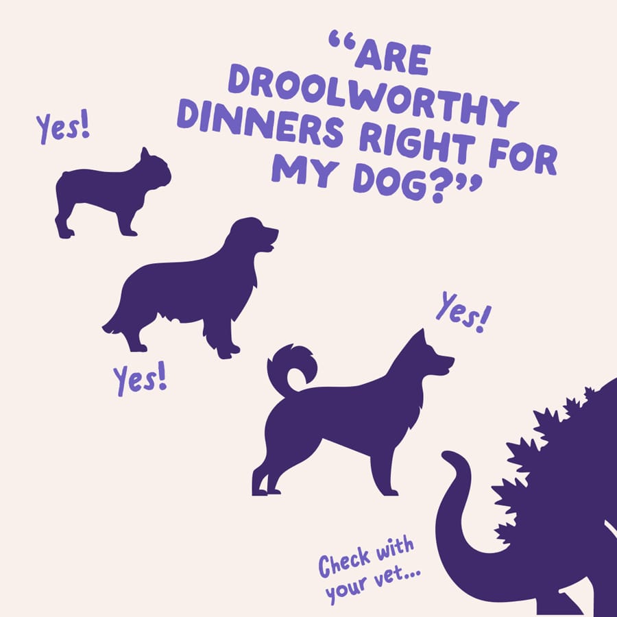 Image slide