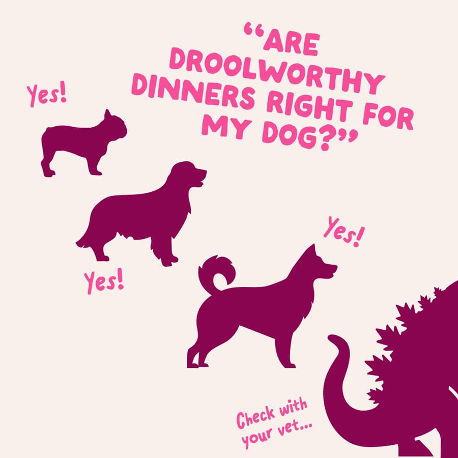 Image slide