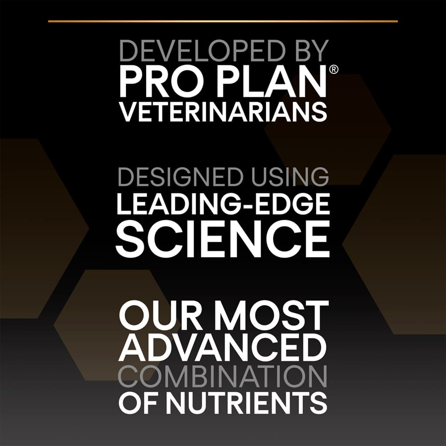 Image slide