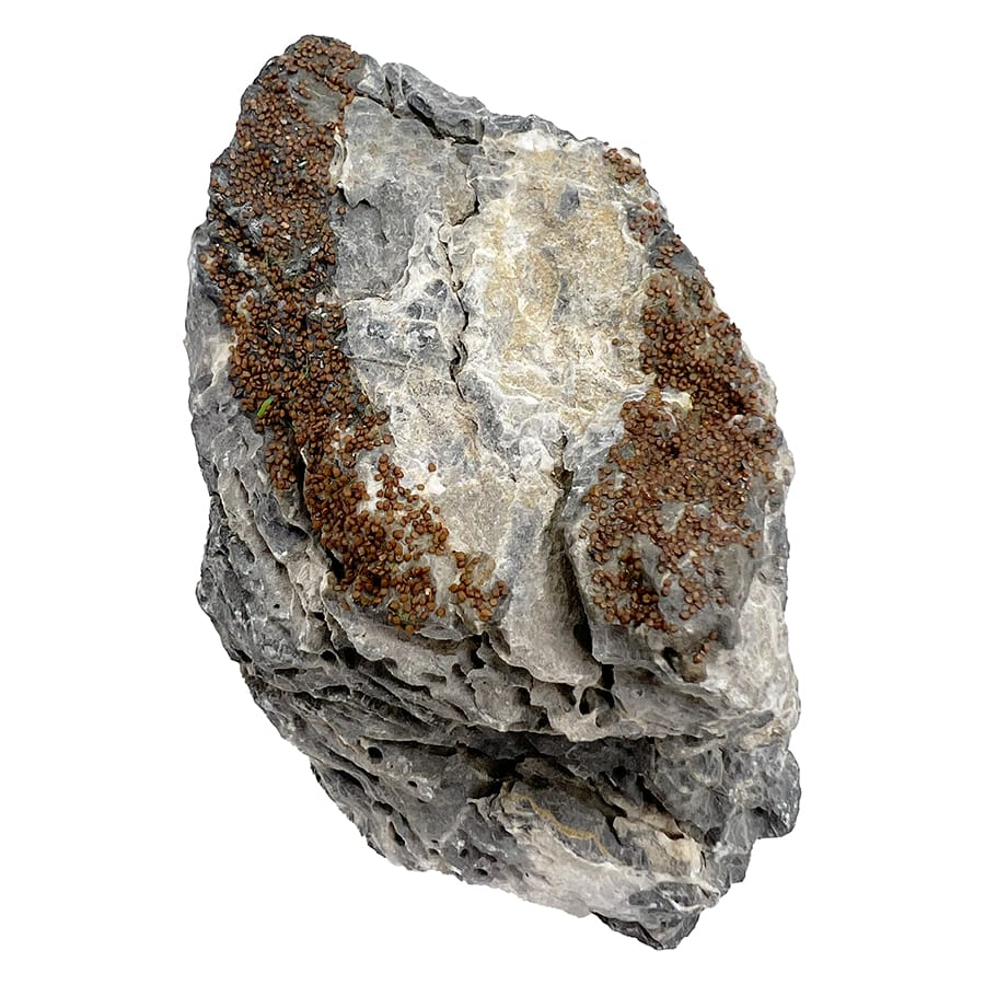 Penn Plax Aqua-Floras Naturals Seiryu Stone Aquascaping Ornament