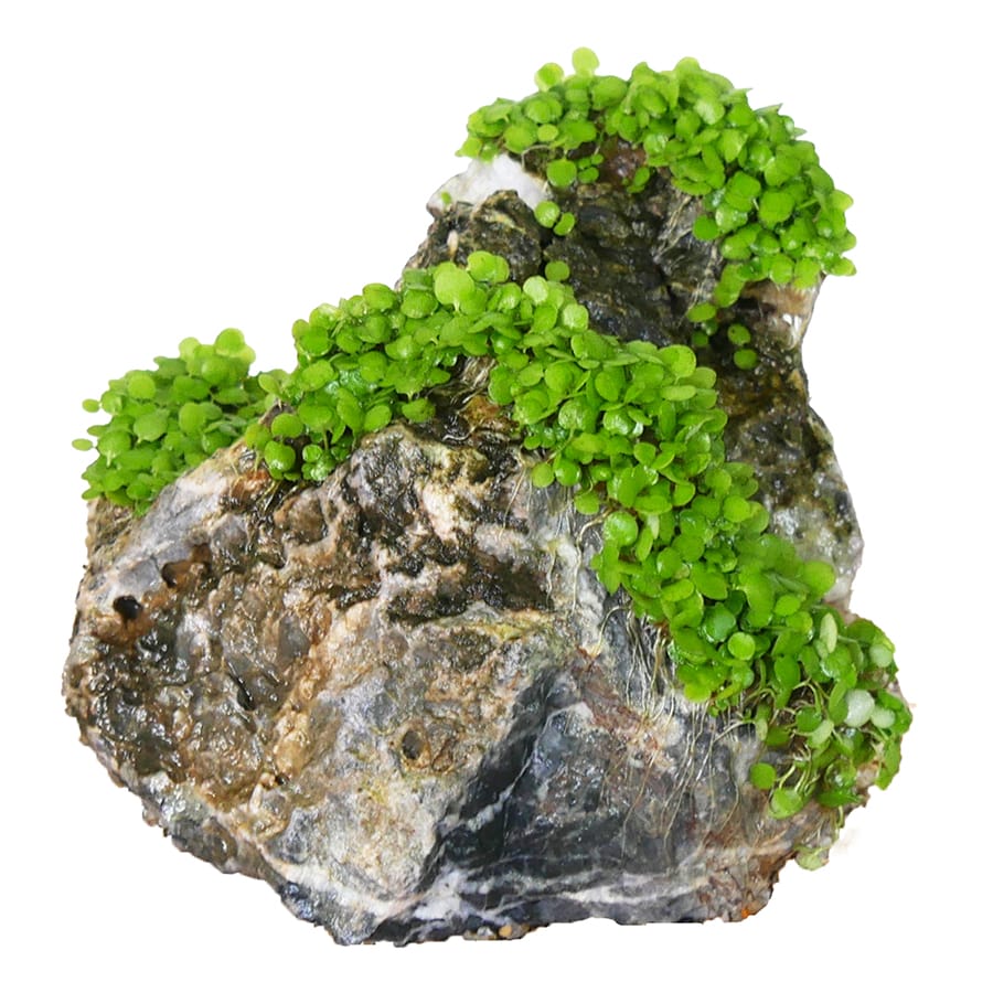 Image slide