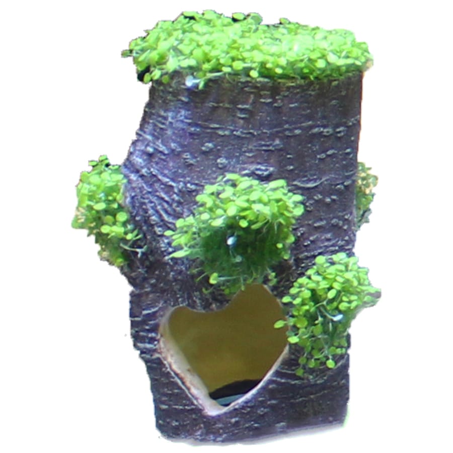 Image slide