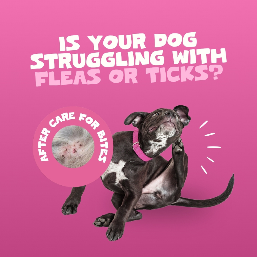 Image slide