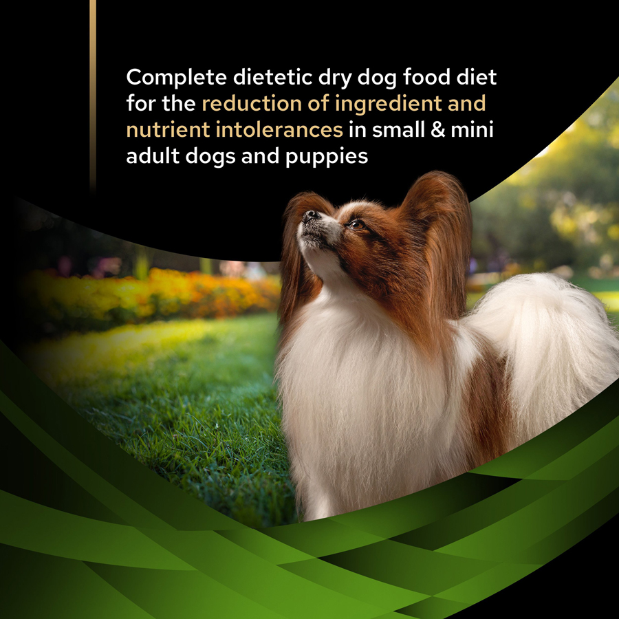 Image slide