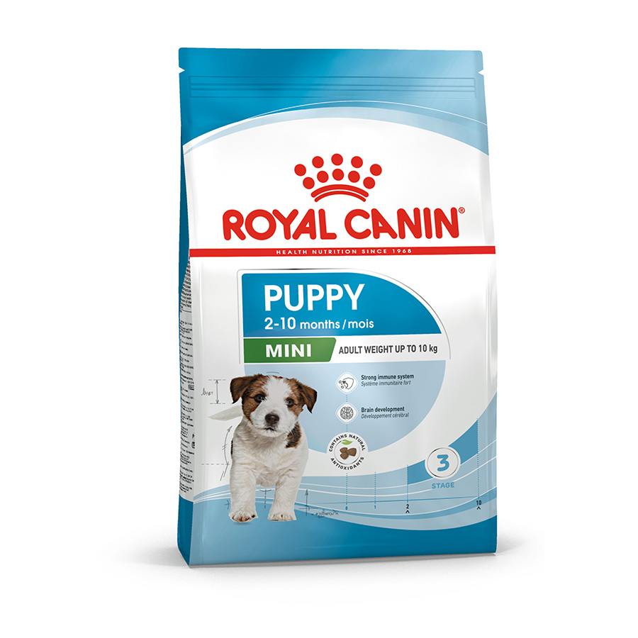 Royal Canin Size Health Mini Breed Dry Puppy Food | Pets