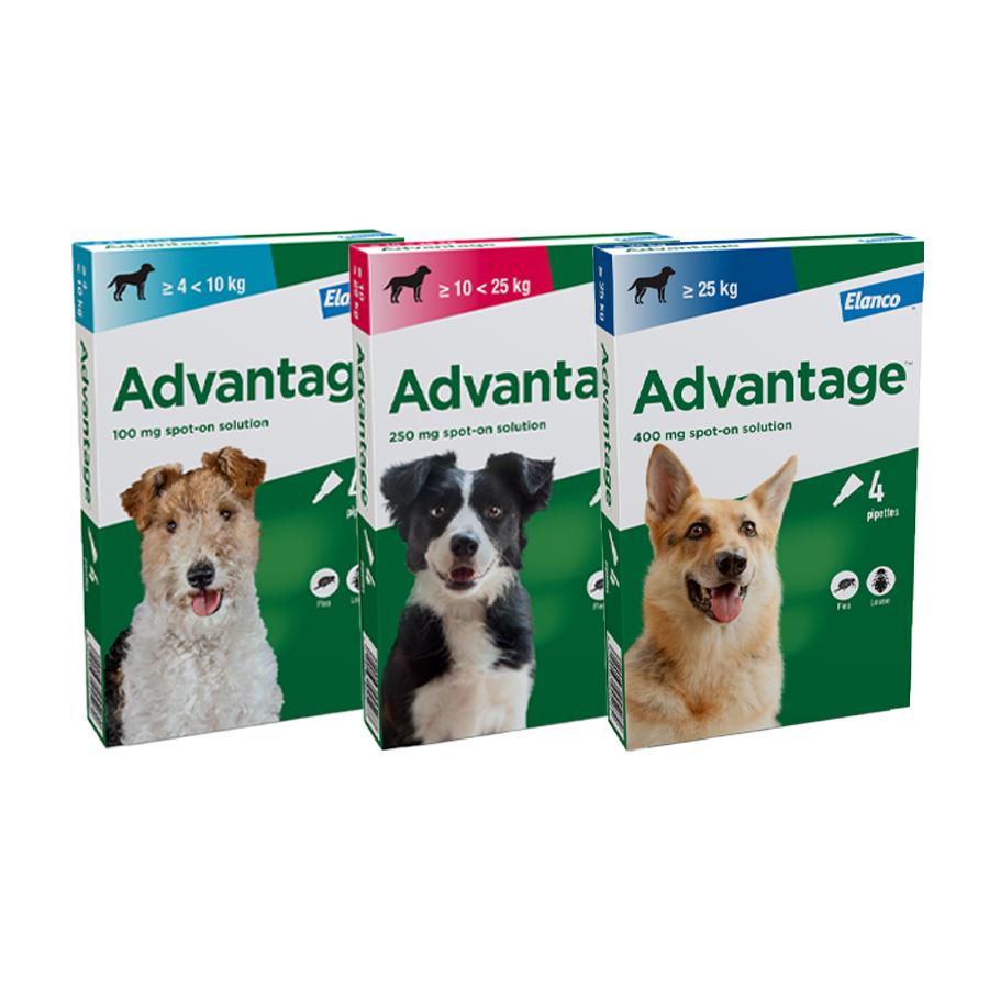 Advantage Spot-On Flea Treatment for Dogs 4 Pack
