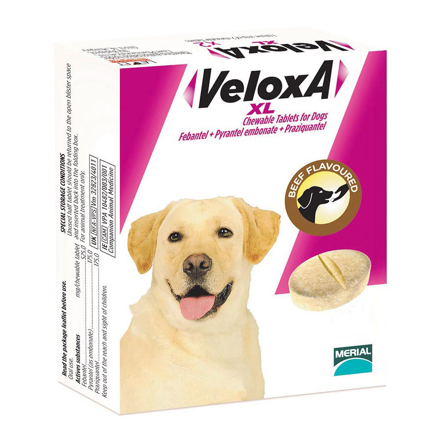 Dog Worming Tablets Deworming Tablets For Dogs Pets