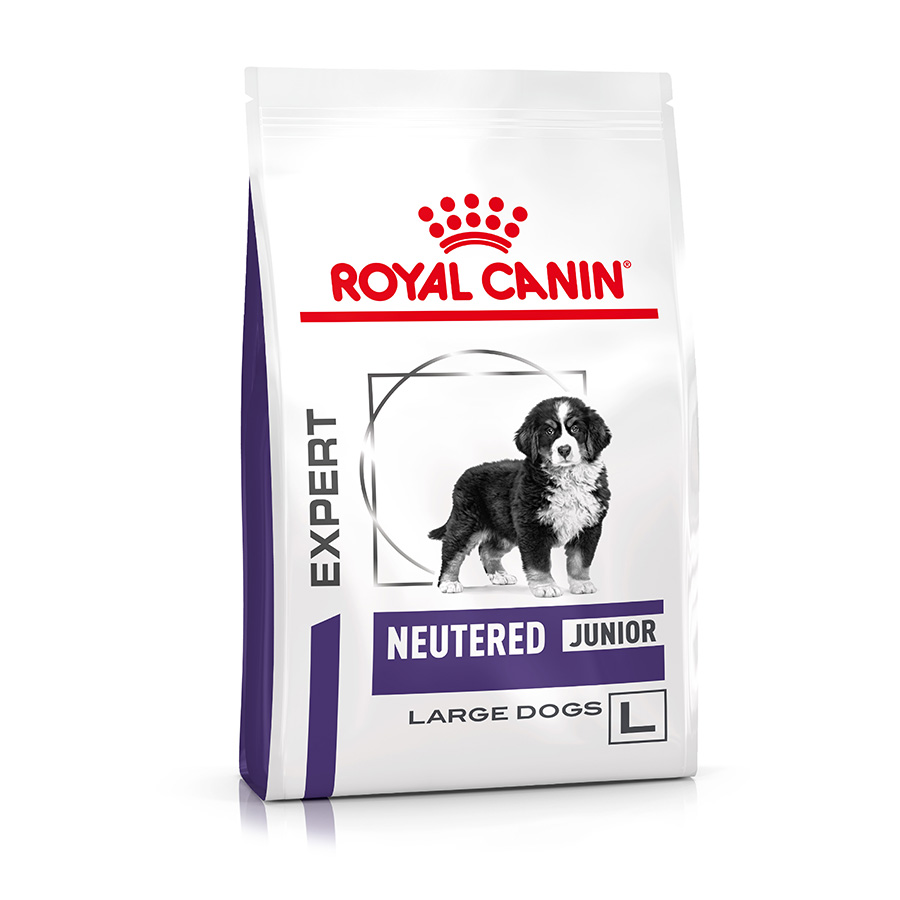 Royal canin junior large fashion dog over 25kg