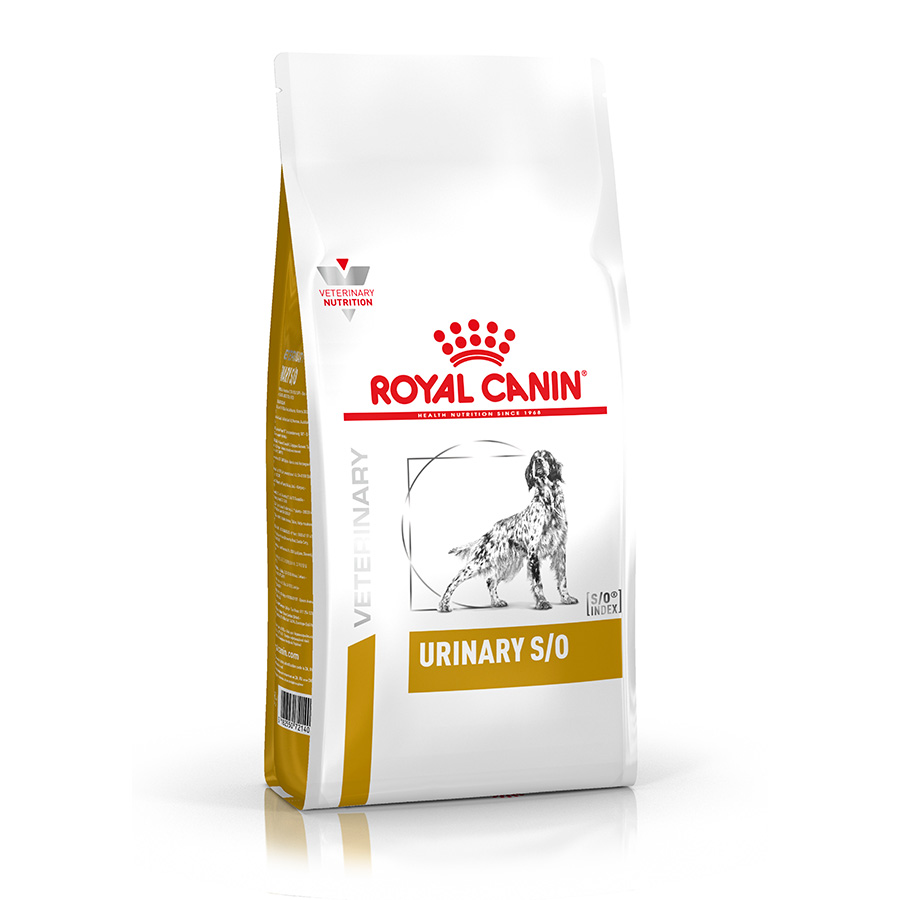 Best food for dog urinary health best sale