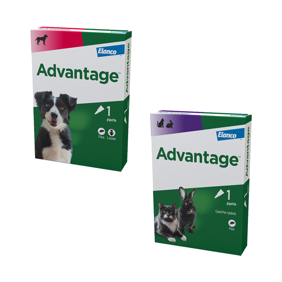 Advantage Spot-On Dog & Cat Flea Treatment