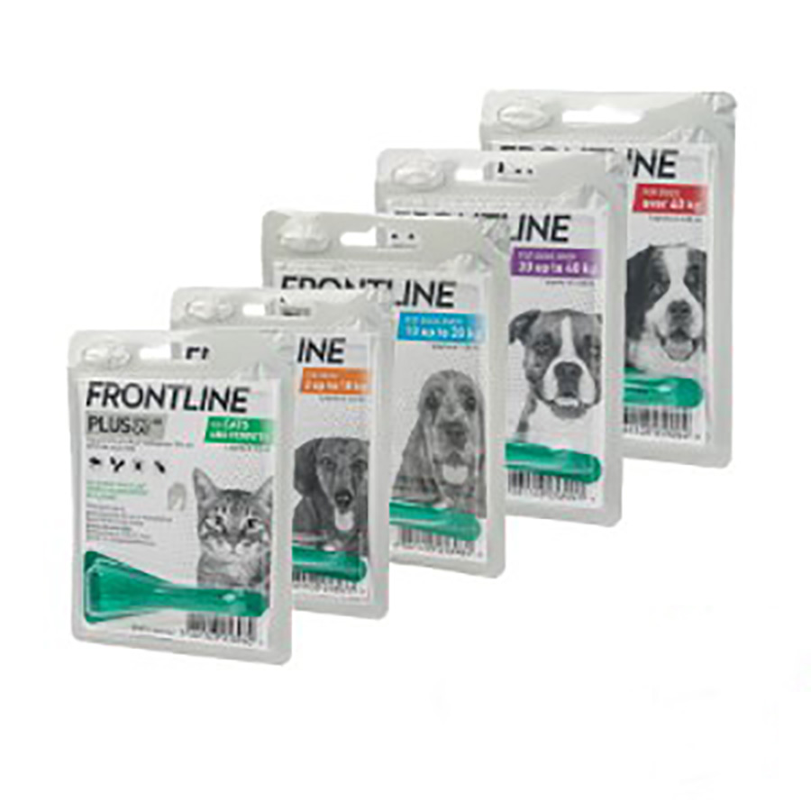 Drontal Worming Treatment For Dogs Pets