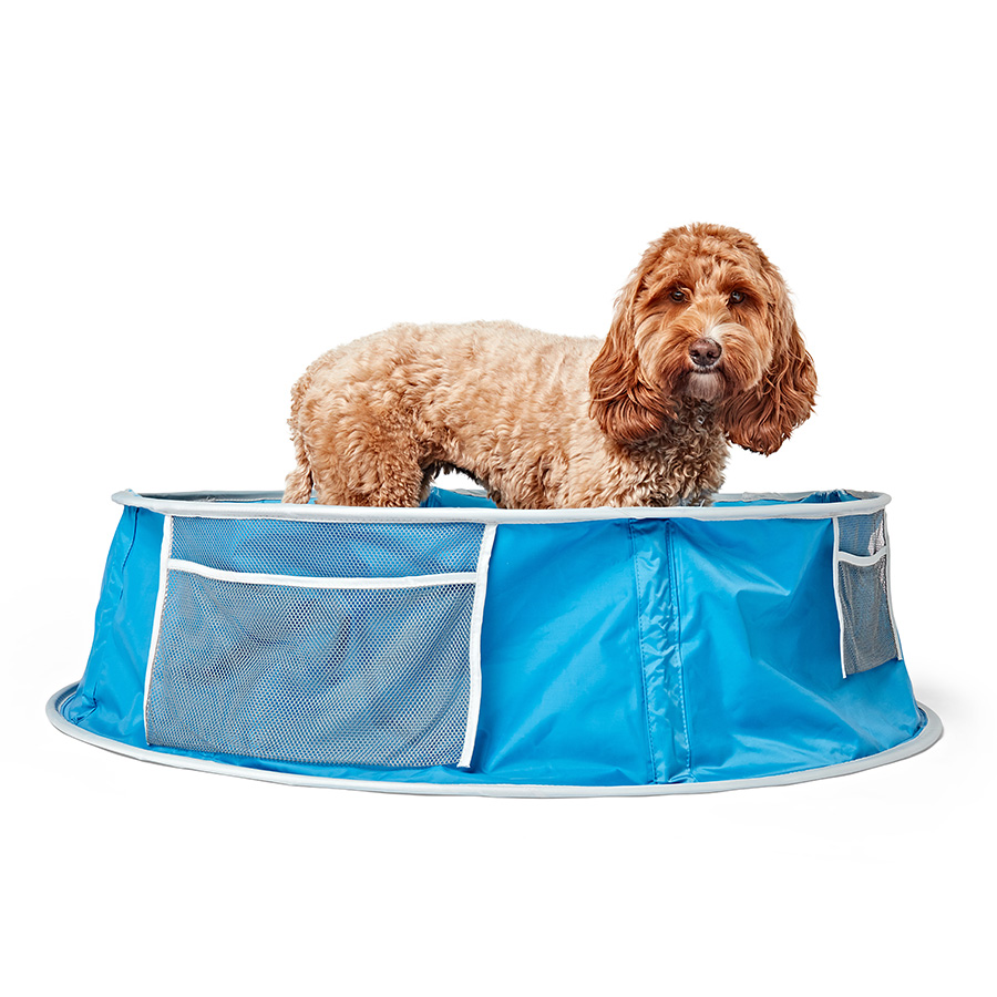 Aldi fashion dog paddling pool