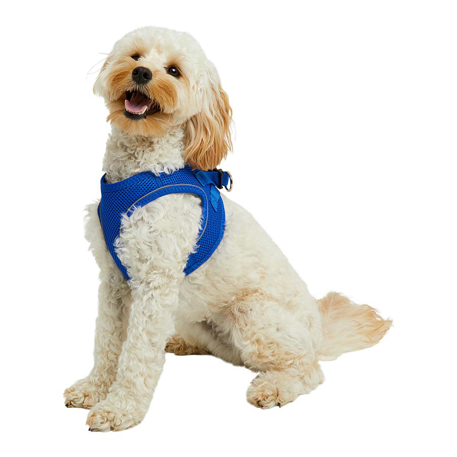 Pets at Home Dog Harness Blue | Pets