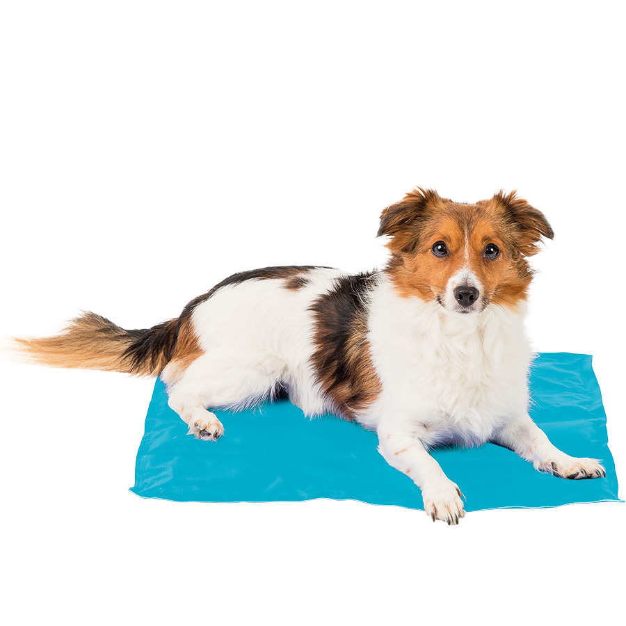 Sunny Daze Cooling Dog Mat Blue Pets