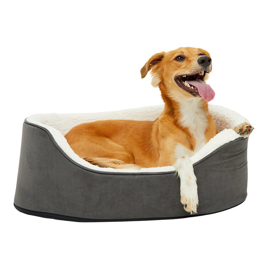 Raised dog bed pets at home hotsell