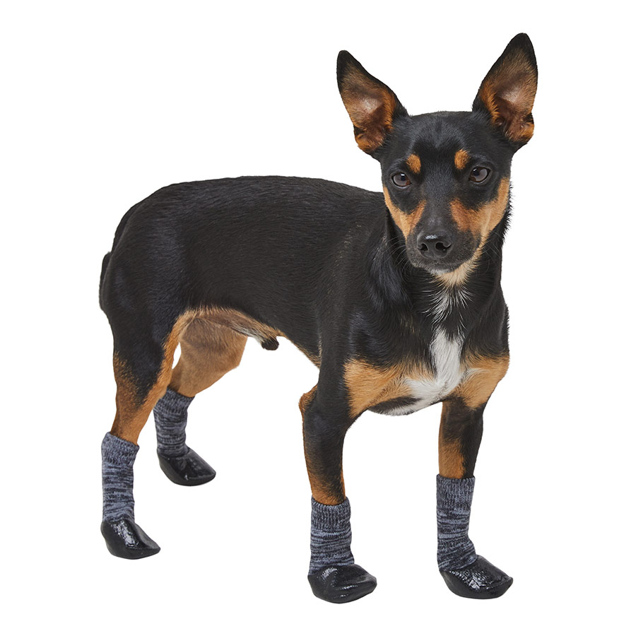 Dog Footwear Pets