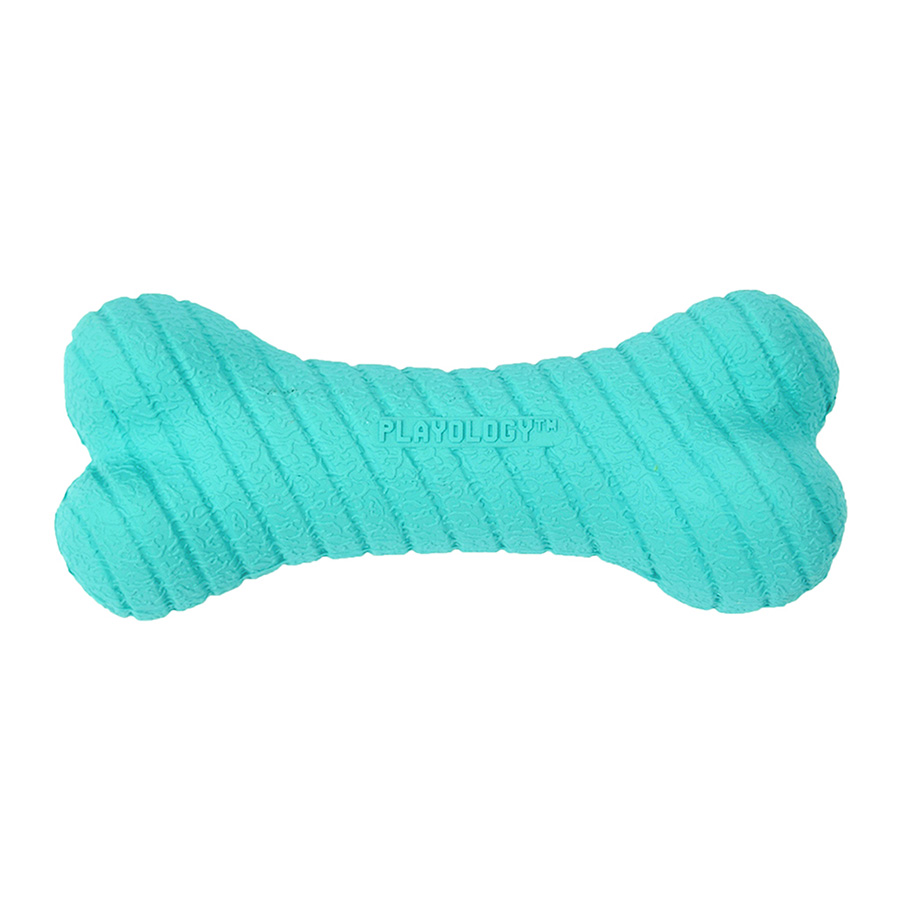 Playology Peanut Butter Dual Layer Bone Dog Toy | Pets