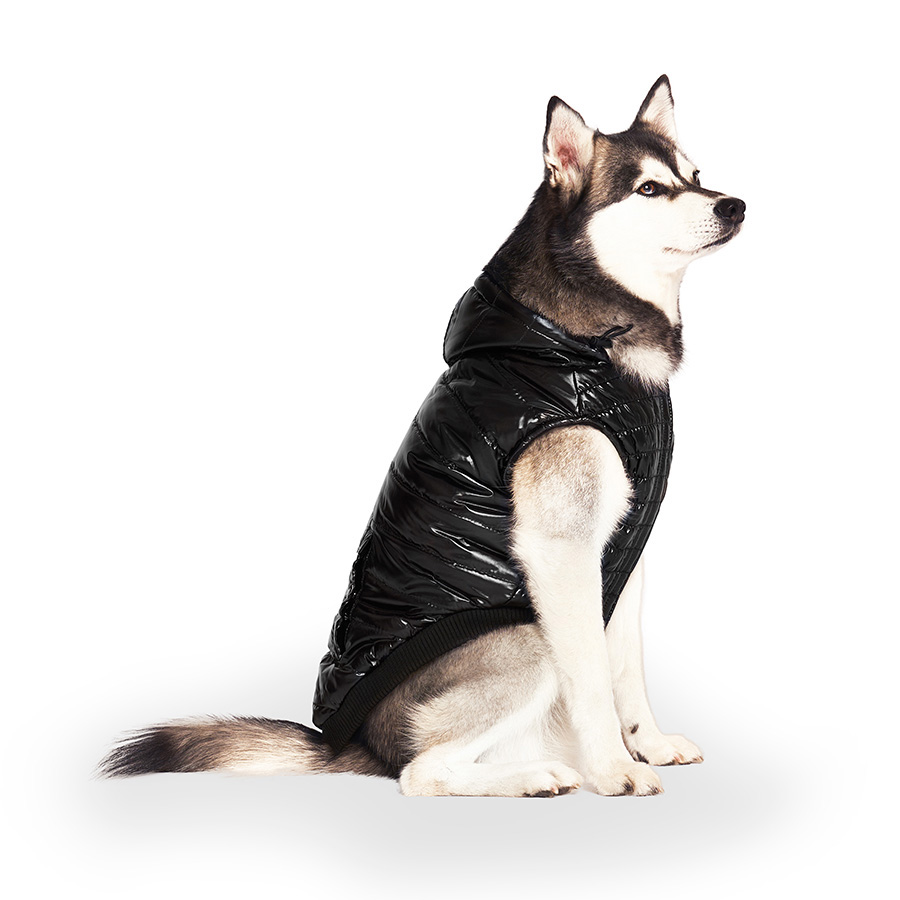 Canada Pooch Shiny Puffer Dog Vest Black
