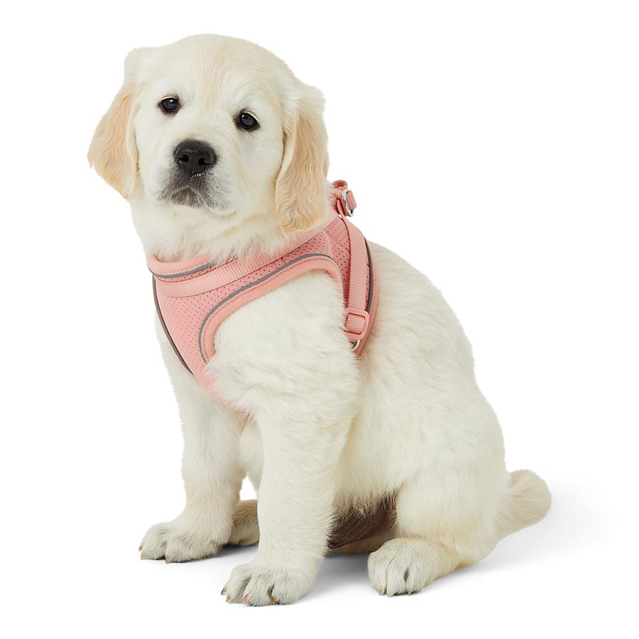 Just For Puppy Harness Pink