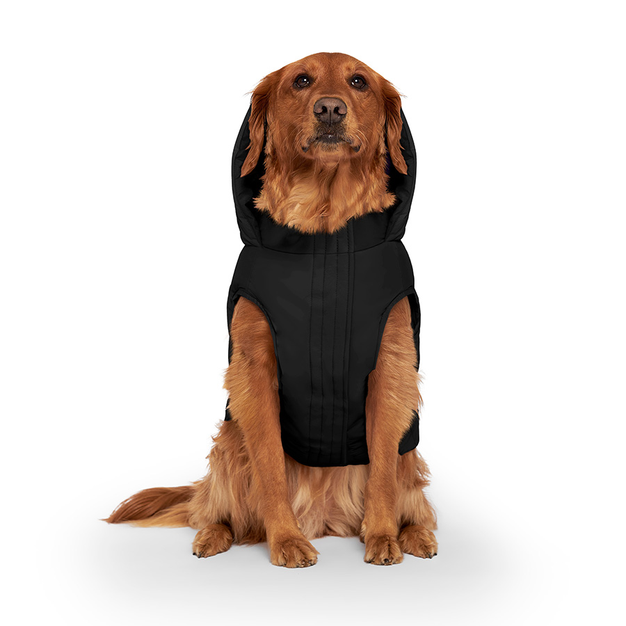 Canada Pooch Waterproof Puffer Dog Jacket Black