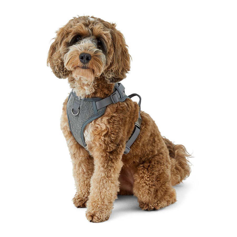 Dog Harnesses Pets