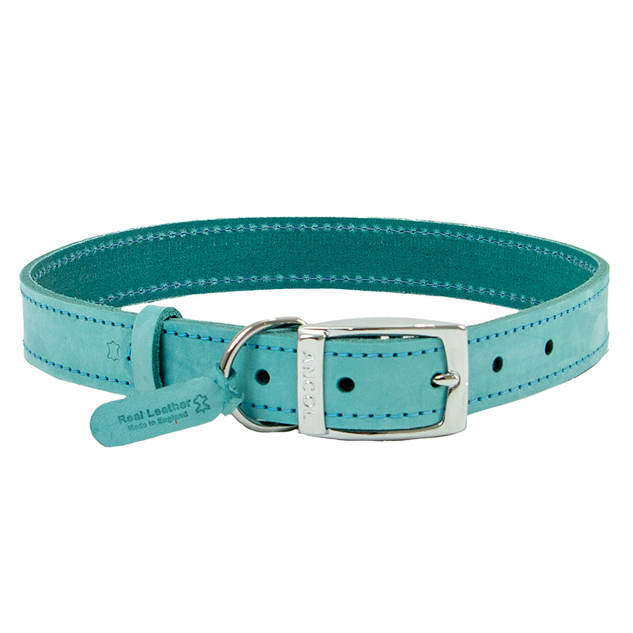 Ancol Timberwolf Dog Collar Green | Pets