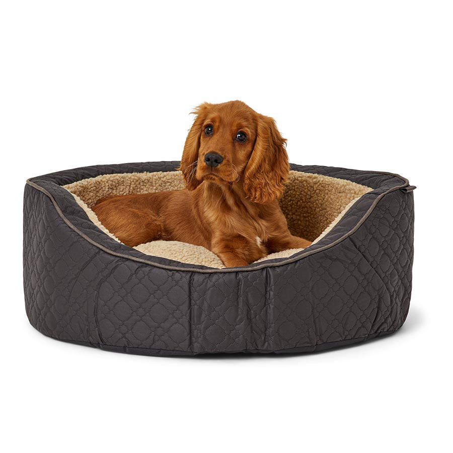 Extra large dog beds pets at home hotsell