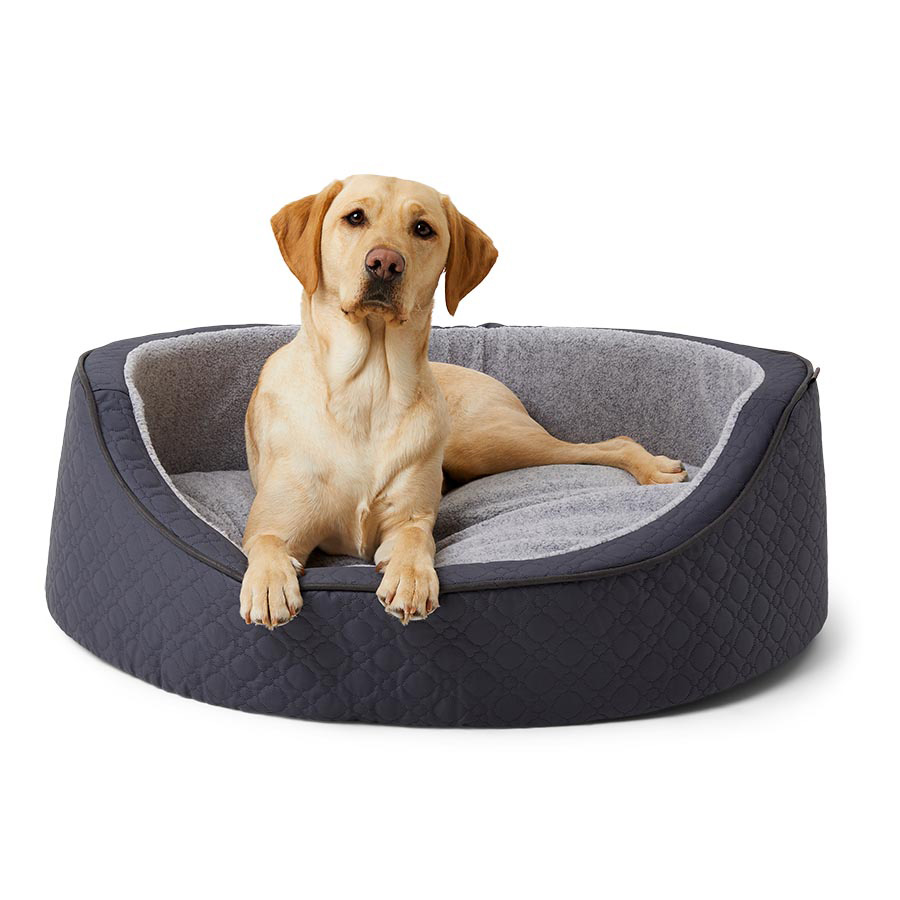 Harmony oval cat bed best sale