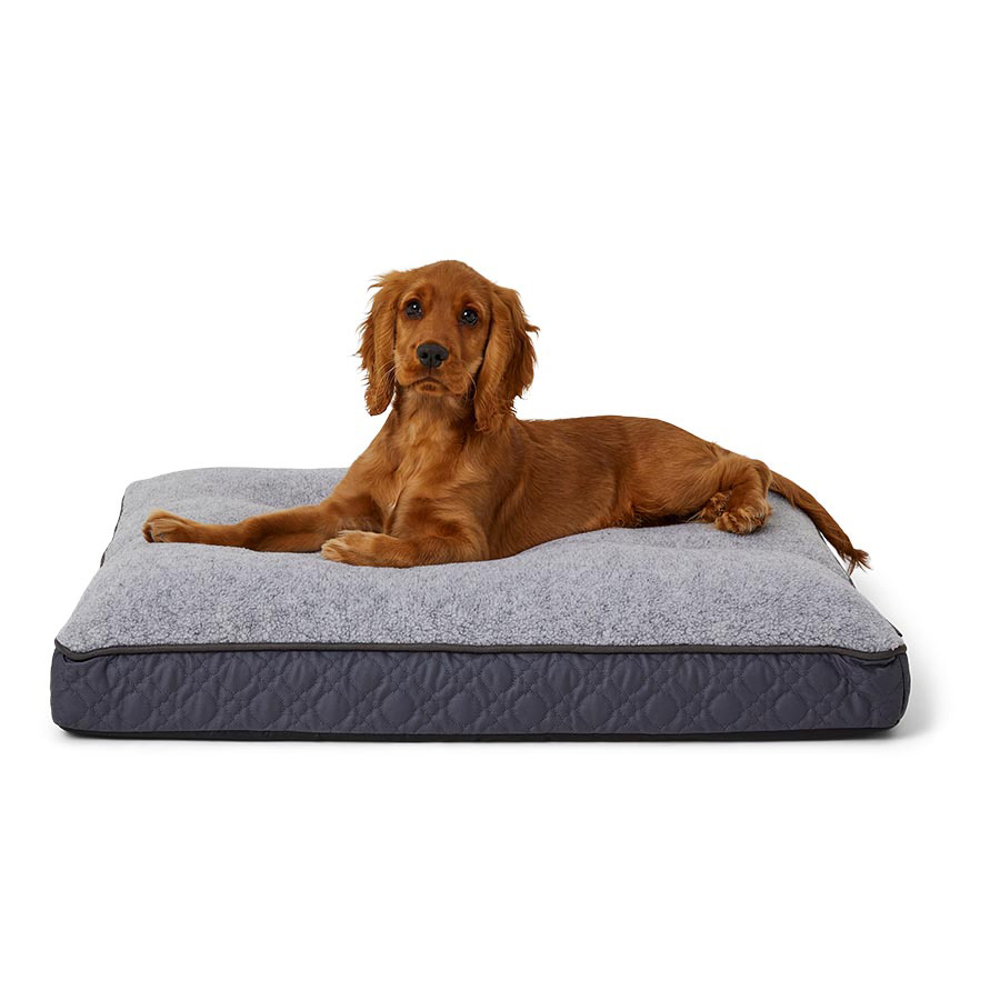 Wainwright’s Extra Support Quilted Dog Bed Grey | Pets