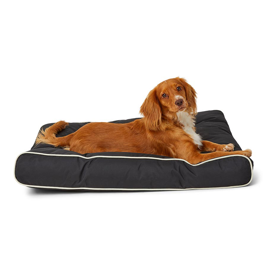 3 Peaks Gusset Dog Mattress Black Pets