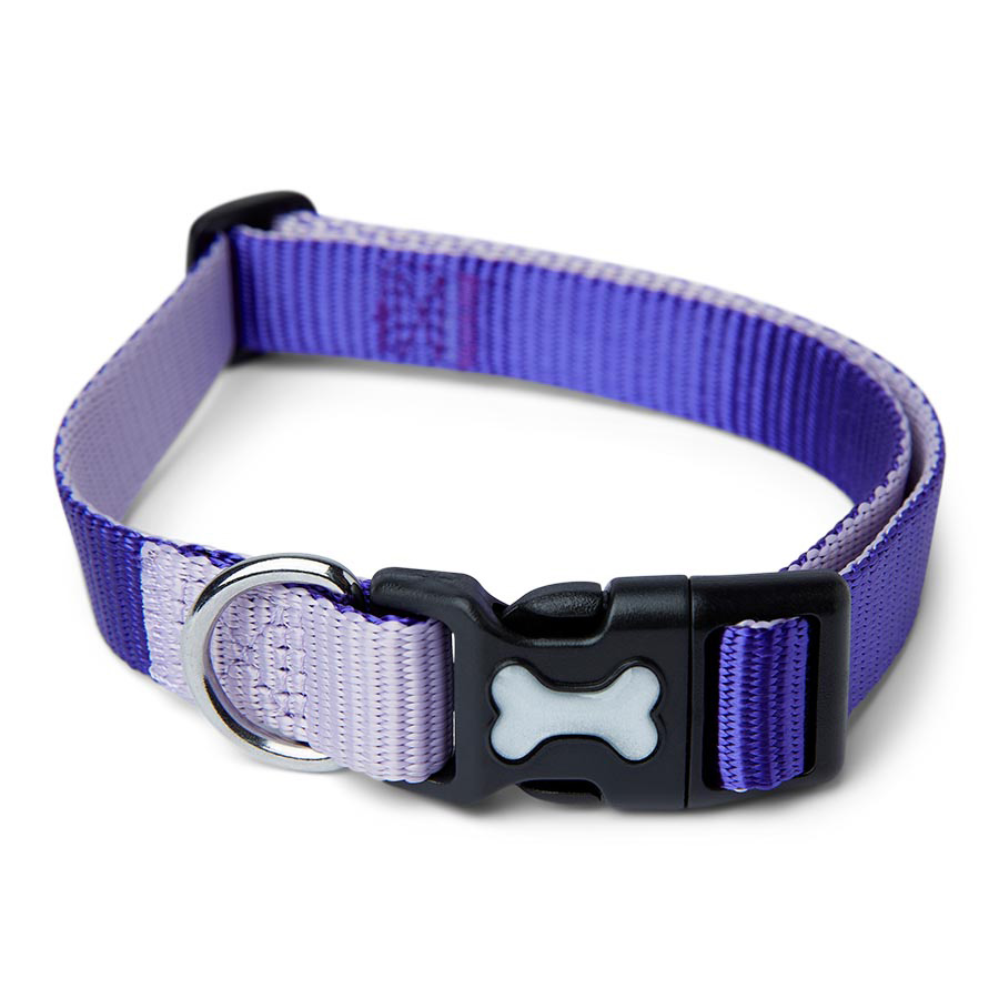 Pets at home puppy collar hotsell