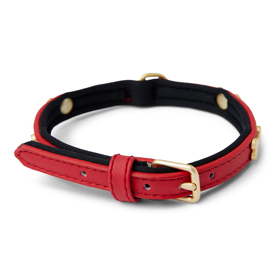 Puppy id collars pets at home best sale