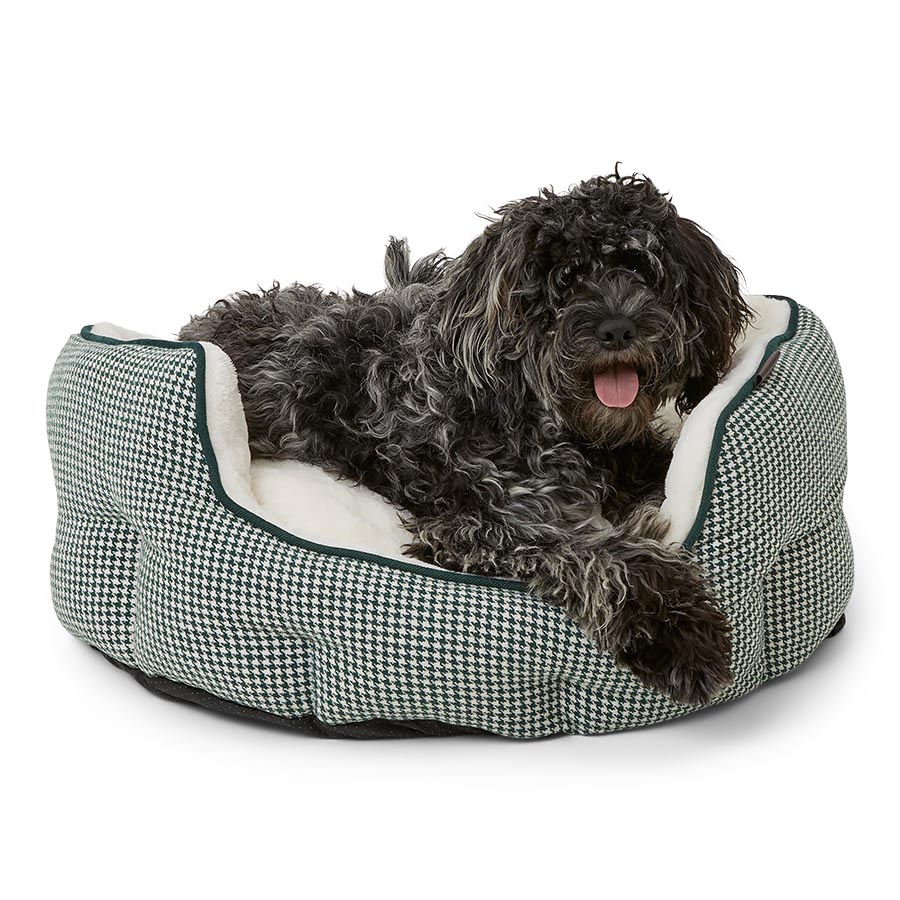 Luxury memory foam dog bed hotsell