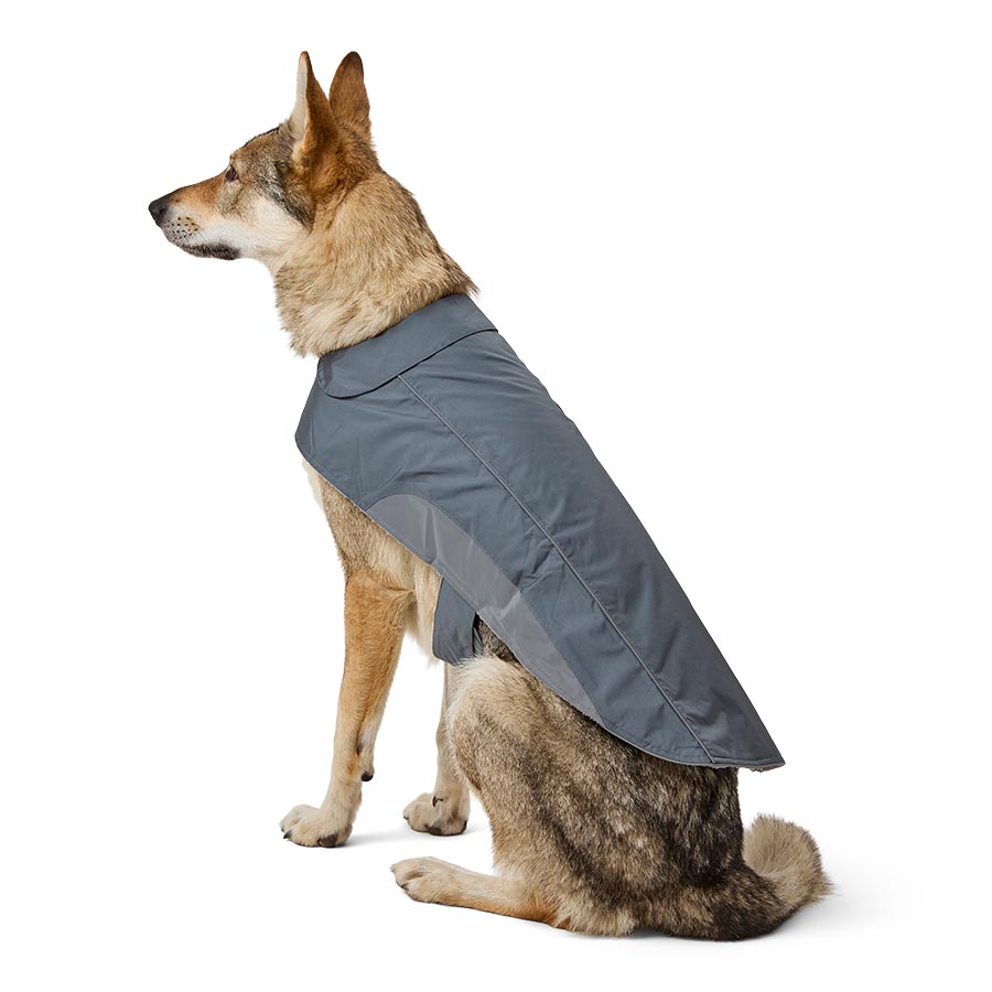 Selling GRAY DOG COAT With Reflective Piping