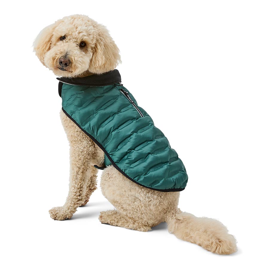 3 Peaks Shower Resistant Dog Parka Jacket Green Ecru