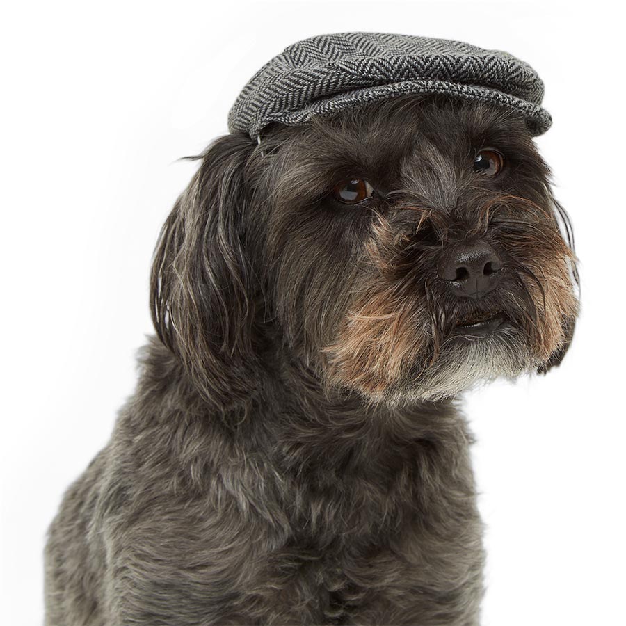 Pets at Home Tweed Dog Newsboy Hat Green