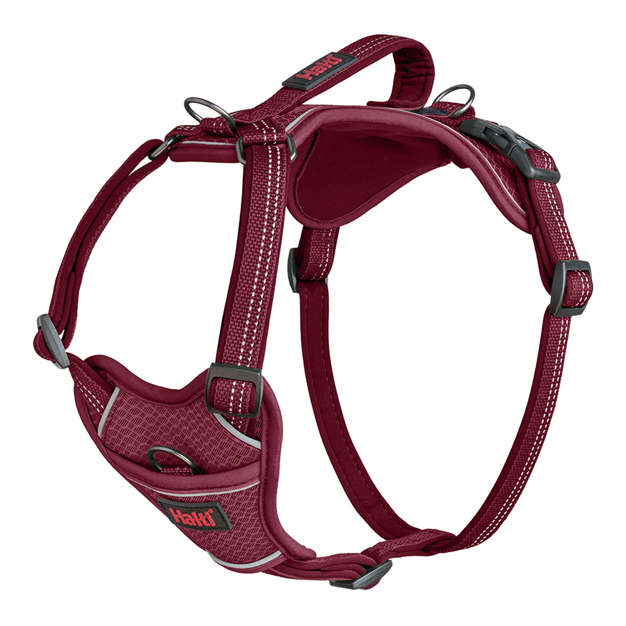 Pink kong harness best sale